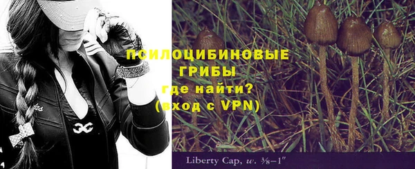 гашик Рославль