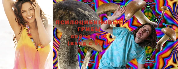 дживик Абаза