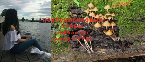 кокс Абинск