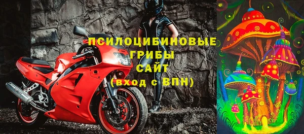 дживик Абаза