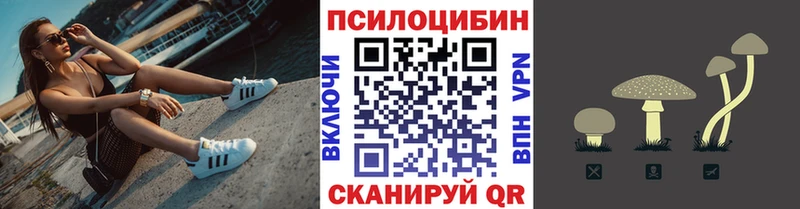 Псилоцибиновые грибы ЛСД  mega tor  Абинск 