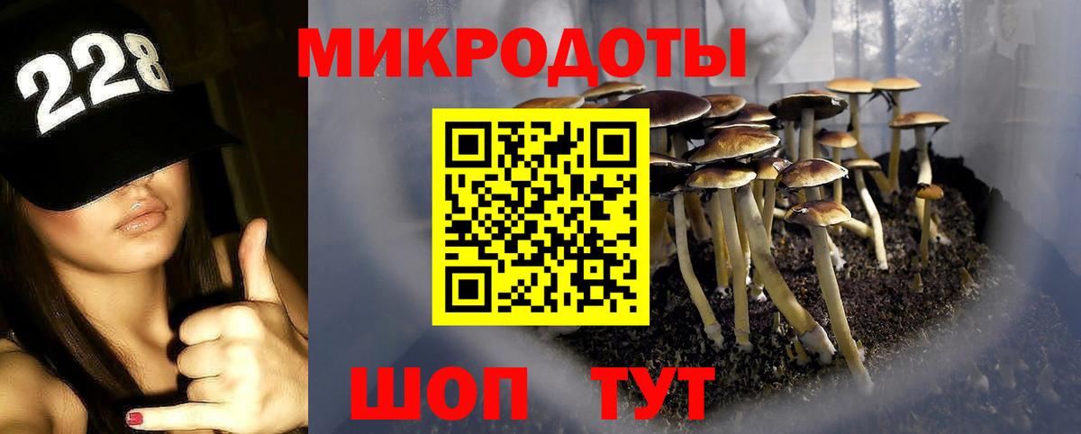 Абинск  Галлюциногенные грибы Psilocybe  где купить наркотик  Вход с VPN 